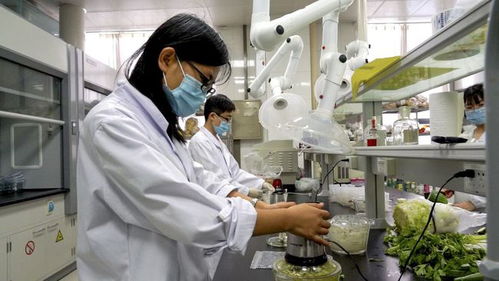 安丘市推進農產品檢驗檢測流程再造，開啟檢測信息共享新篇章